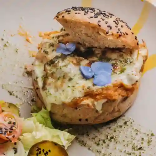 Pan Cook Alegre