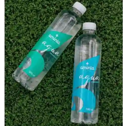 Agua Aminta con Gas 500 ml