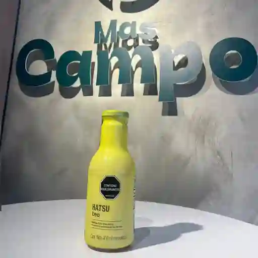 Tea hatsu amarillo