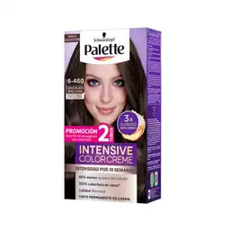 Palette Tinte Intensive Creme Chocolate Avellana 6-460 100 mL