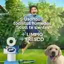 Papel Higiénico Húmedo Scott 48 Und