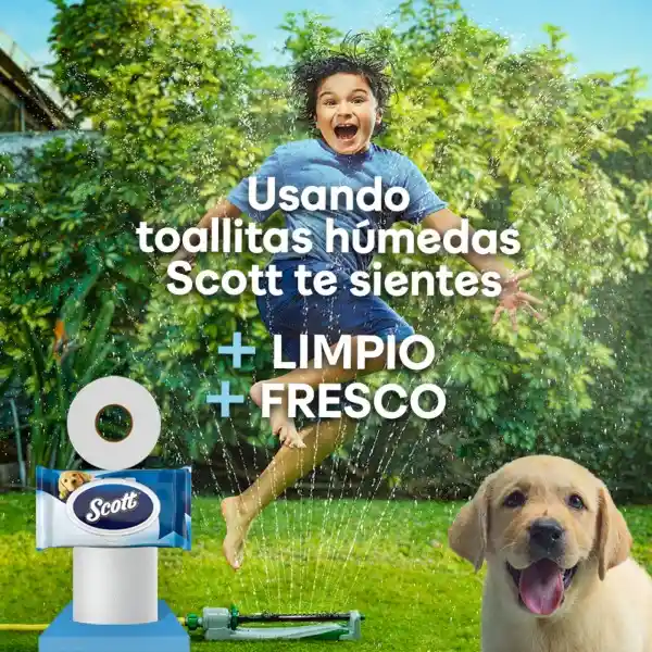 Papel Higiénico Húmedo Scott 48 Und