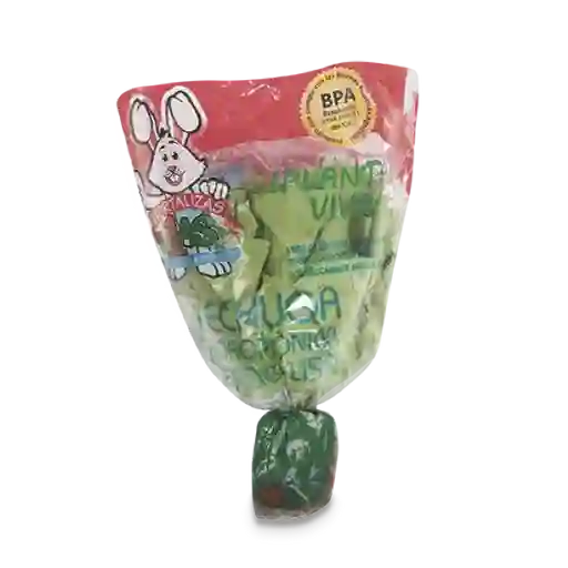 Lechuga Verde Lisa Hidropónica