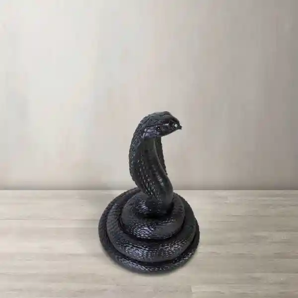 Serpiente Negra Ambiente Gourmet