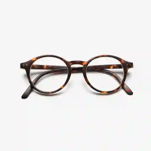 B+D Gafas Reading Loop Carey + 3.00