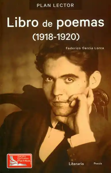 AdeS Libro De Poemas (1918-1920). Con Cuaderno De Activid