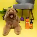 LuloPet Neutralizer Orange Eliminador Olores Mascotas - 250ml