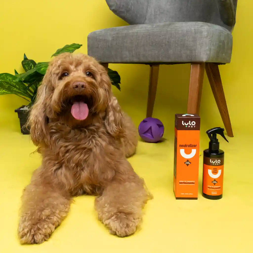 LuloPet Neutralizer Orange Eliminador Olores Mascotas - 250ml