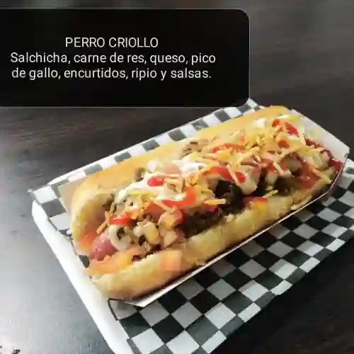 Perro Criollo