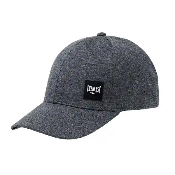 Gorra Sunday IV Gris Everlast