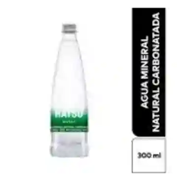 Agua con Gas 300ml