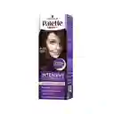 Tinte Palette Color Creme 4-89 Borgoña Intenso