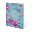 Hojas Scribe Cuaderno Espiral Master Femenino 80