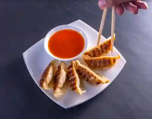 Empanadas Gyosas Cerdo