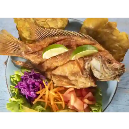 Mojarra Frita