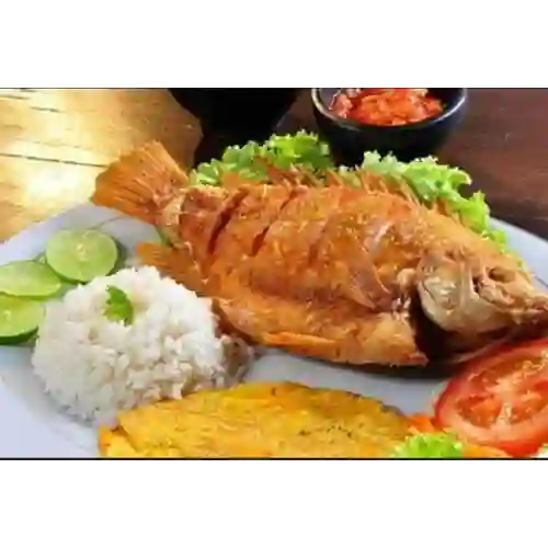 Mini Mojarra