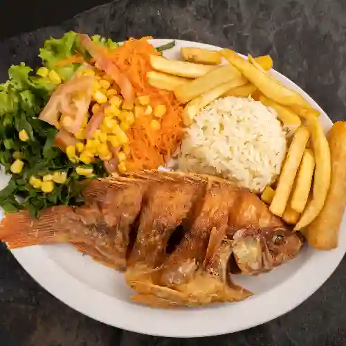 Mini Mojarra