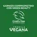 Acondicionador Hair Food Garnier Piña Anti-Quiebre 300 mL
