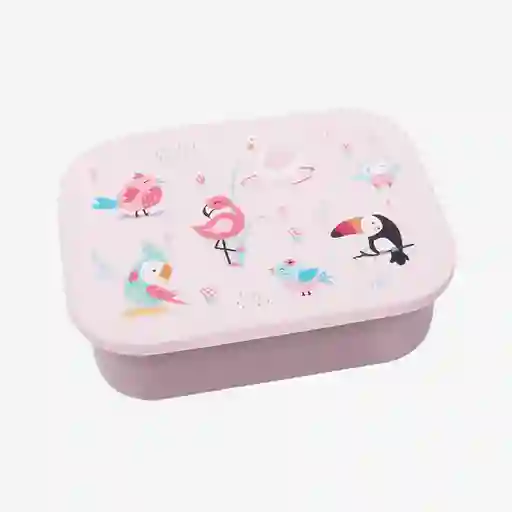 Lund London Lonchera Little Lund Birds