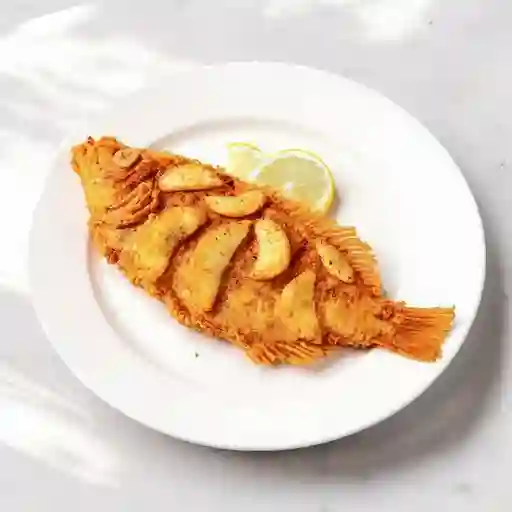 Robalo Frito