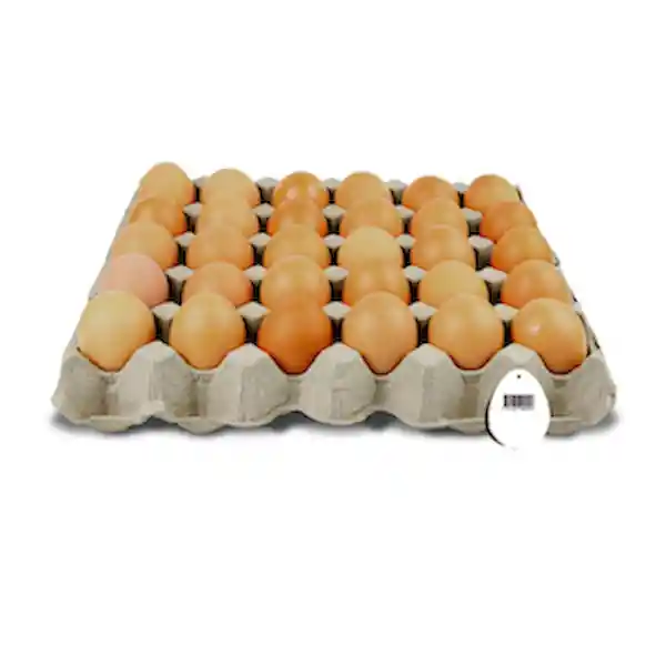 Avinal Huevos Rojos Tipo AA