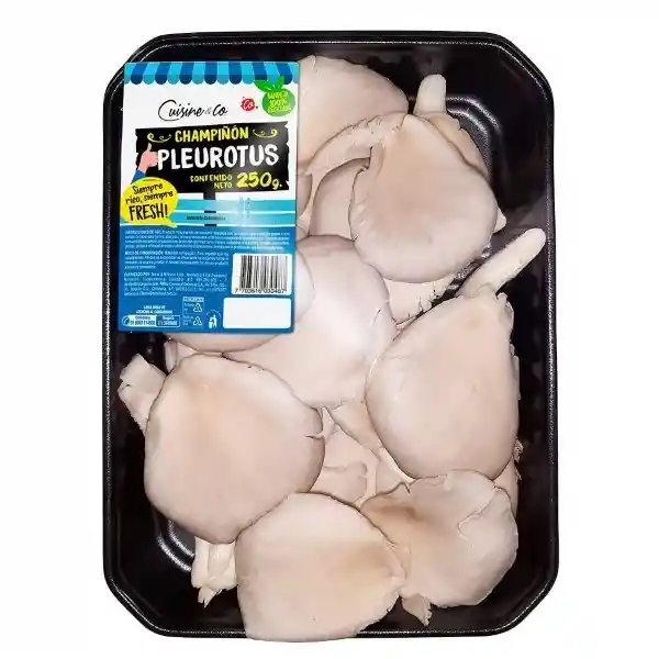 Cuisine & Co Champiñon Pleurotus