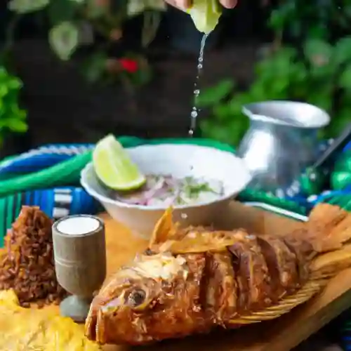 Tilapia Frita