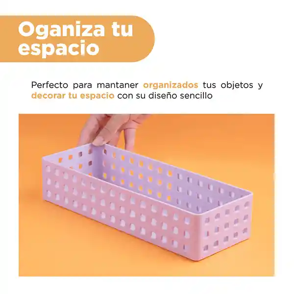 Organizador Plástico Apilable Serie Púrpura Miniso