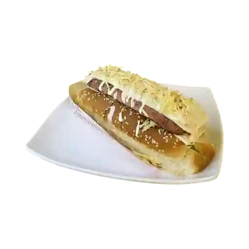 Perro Costeño Suizo
