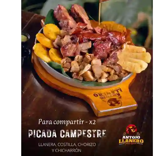 Picada Campestre para Compartir X2