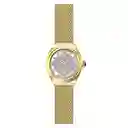 Invicta Reloj Dama Oro 31335