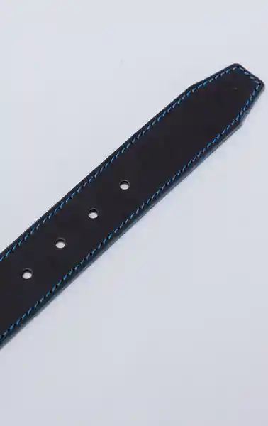Correa Unisex Negro Talla M 731G500_NEG190303 Americanino