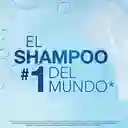 Head & Shoulders Shampoo Control Caspa 375 mL + Shampoo 180 mL