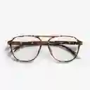 Barner Gafas Reading Brad Carey + 2.00