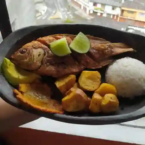 Super Almuerzo con Mojarra Frita