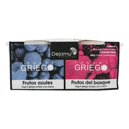 Yogurt Griego Fr/Rojos Duopack Deja-Mu 225 Ml