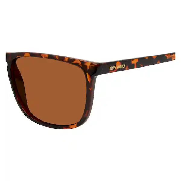 Gafas Para Hombre Color Havana X17155 Steve Madden