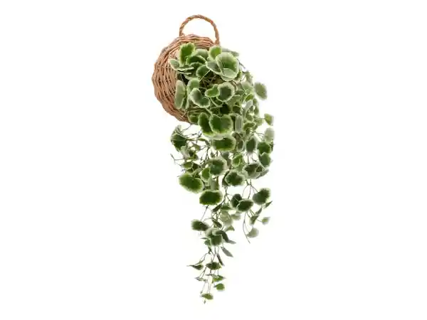 Maceta Fibra Planta Colgante Casaideas