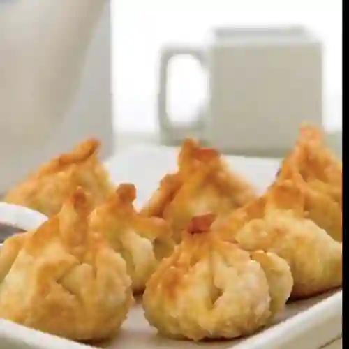 Wonton Rellenos
