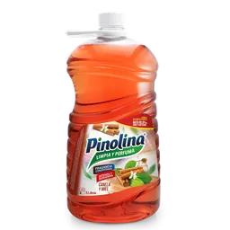 Pinolina Limpiador Canela