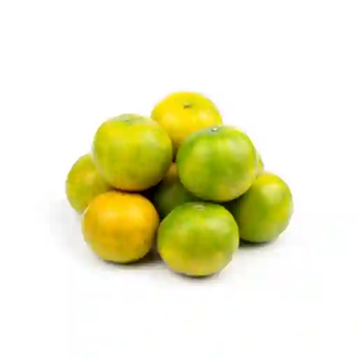 Naranja Valencia