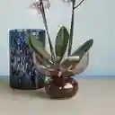 Hubsch Florero Show Rosa Ambar