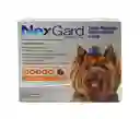 Nexgard Antipulgas Para Perro 2 - 4 Kg 0.5 g