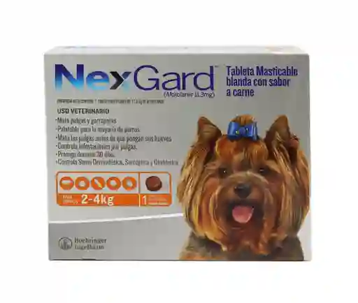 Nexgard Antipulgas Para Perro 2 - 4 Kg 0.5 g
