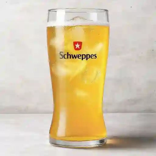 Schweppes Ginger Pet 400