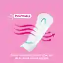 Protectores Diarios Kotex Discretos 15 Und