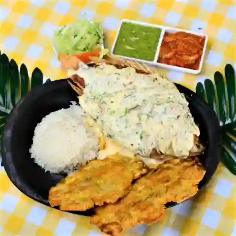 Tilapia Al Ajillo