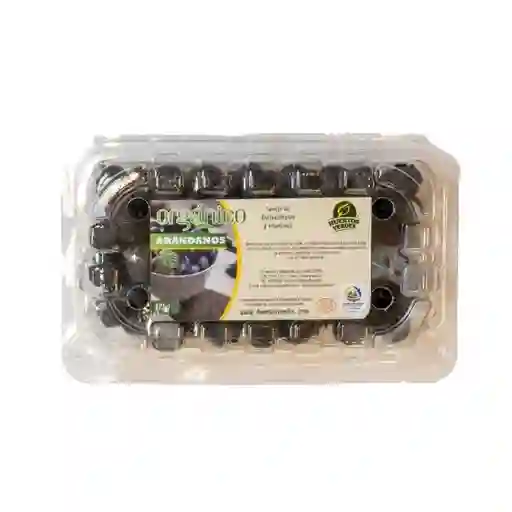Orgánico Arándano Ecológico