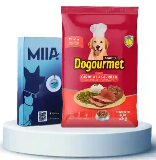 Combo Alimento Perro Dogourmet Carne Parrilla + Miia