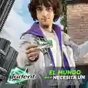 Trident Chicle Sin Azúcar Yerbabuena